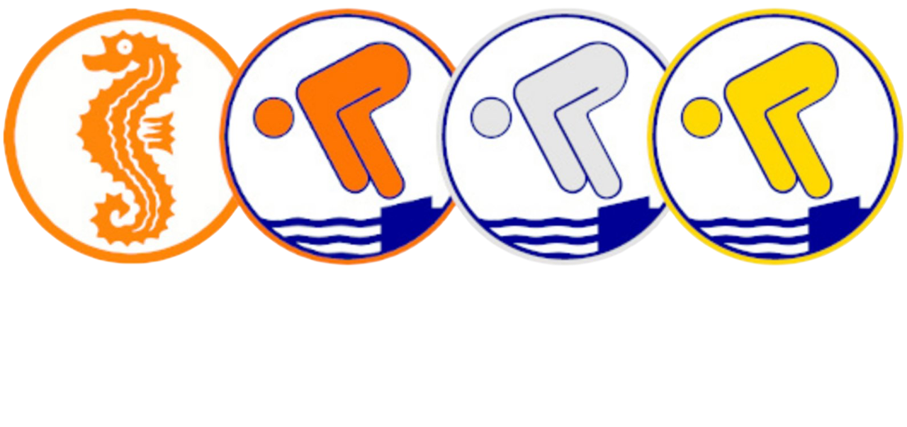 Swimming Badge